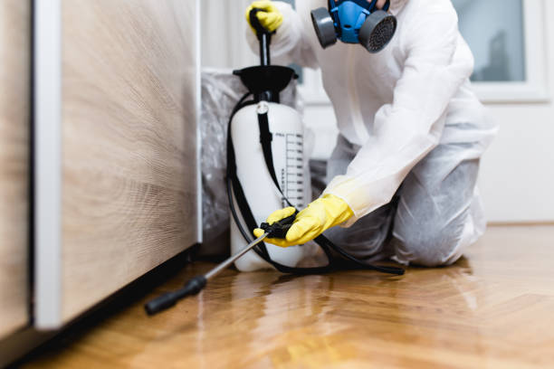 Best Commercial Pest Control Services  in Caldwell, OH