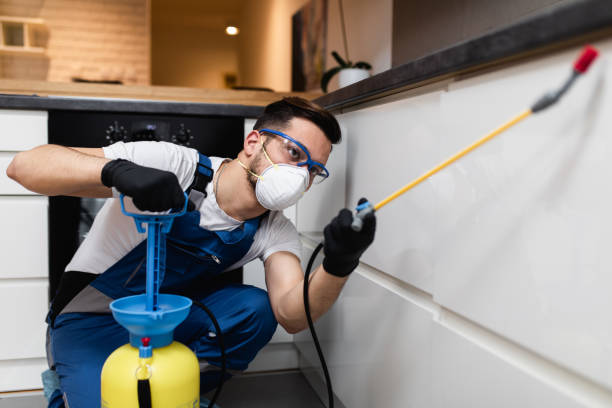 Best Flea Control Services  in Caldwell, OH