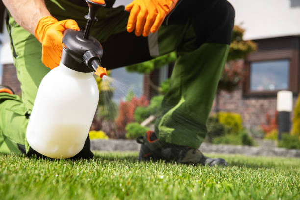 Best Local Pest Control Services  in Caldwell, OH