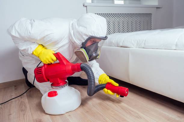 Best Cockroach Control Services  in Caldwell, OH