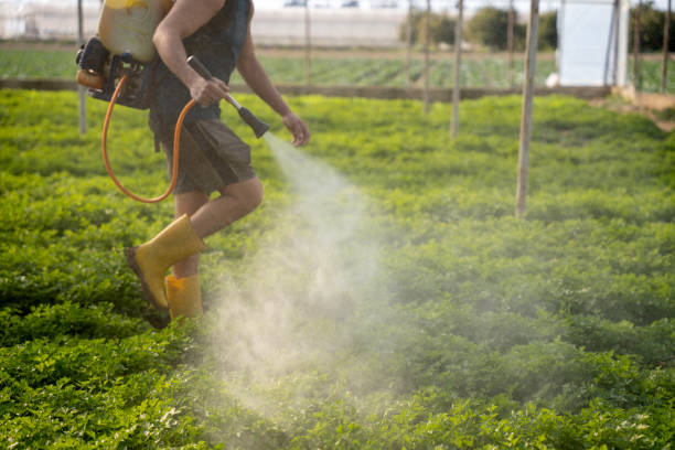 Best Affordable Pest Control Services  in Caldwell, OH