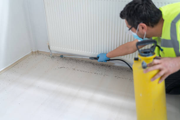 Best Mosquito Control Services  in Caldwell, OH